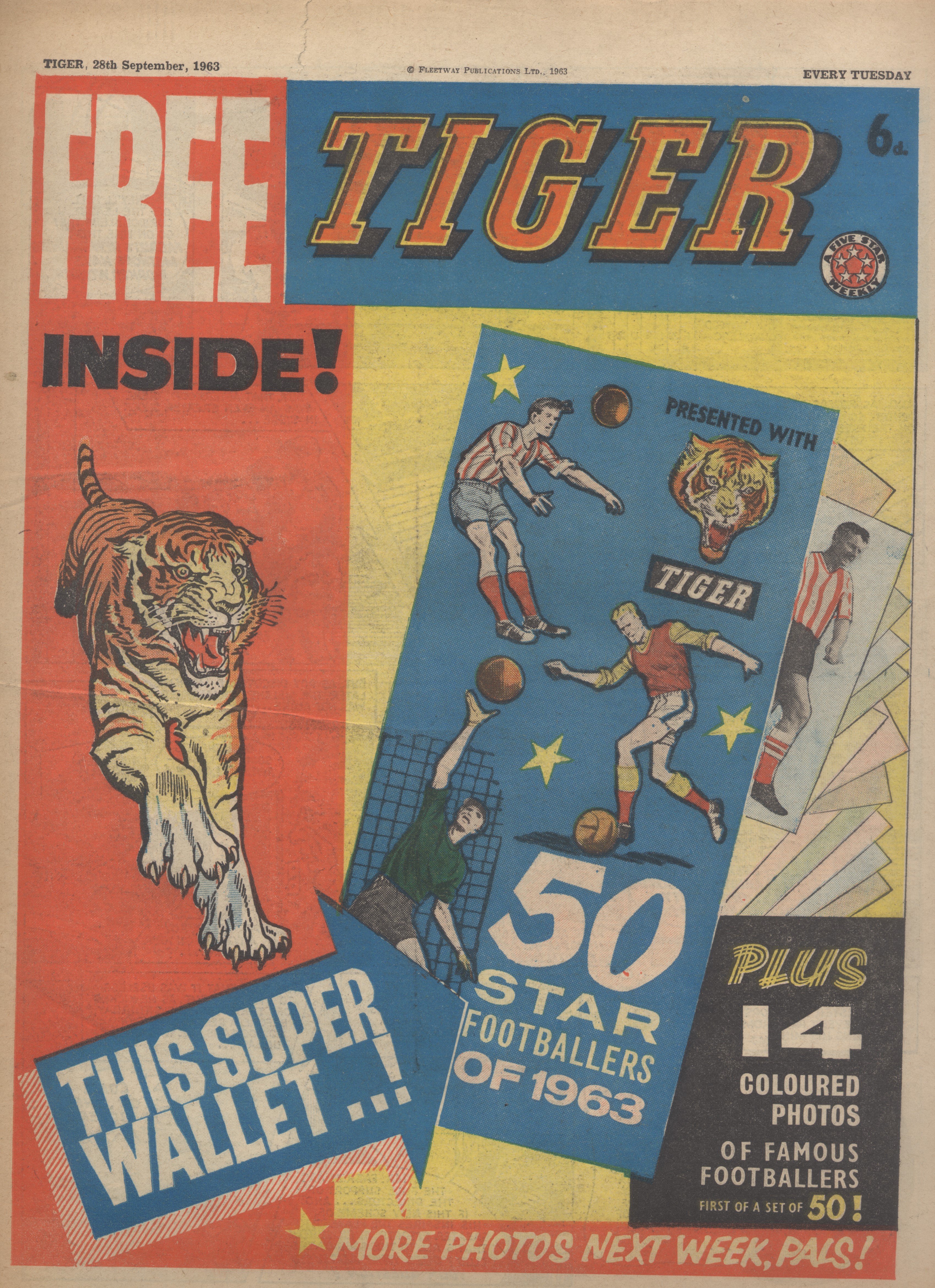 Tiger